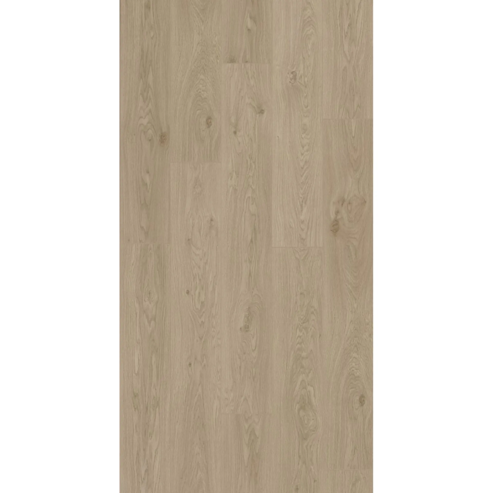 BerryAlloc TRENDLINE LAMINATGULV LILY OAK