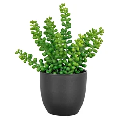 Boliginteriør BOLIGINTERIØR SUKULENT KUNSTIG PLANTE 20 CM