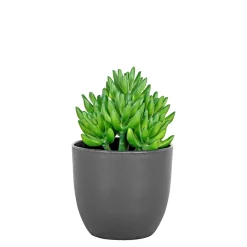 Boliginteriør BOLIGINTERIØR SUKULENT KUNSTIG PLANTE 17 CM