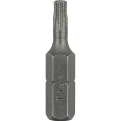 Bosch DIY 2609255933 BITS T15 5