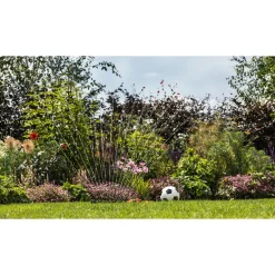 Bosch DIY GARDENPUMP 18V-2000 HAVEPUMPE