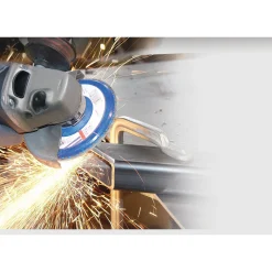 Bosch PRO SKRÅ Ø125MM SLIBERONDEL 80 1 STK