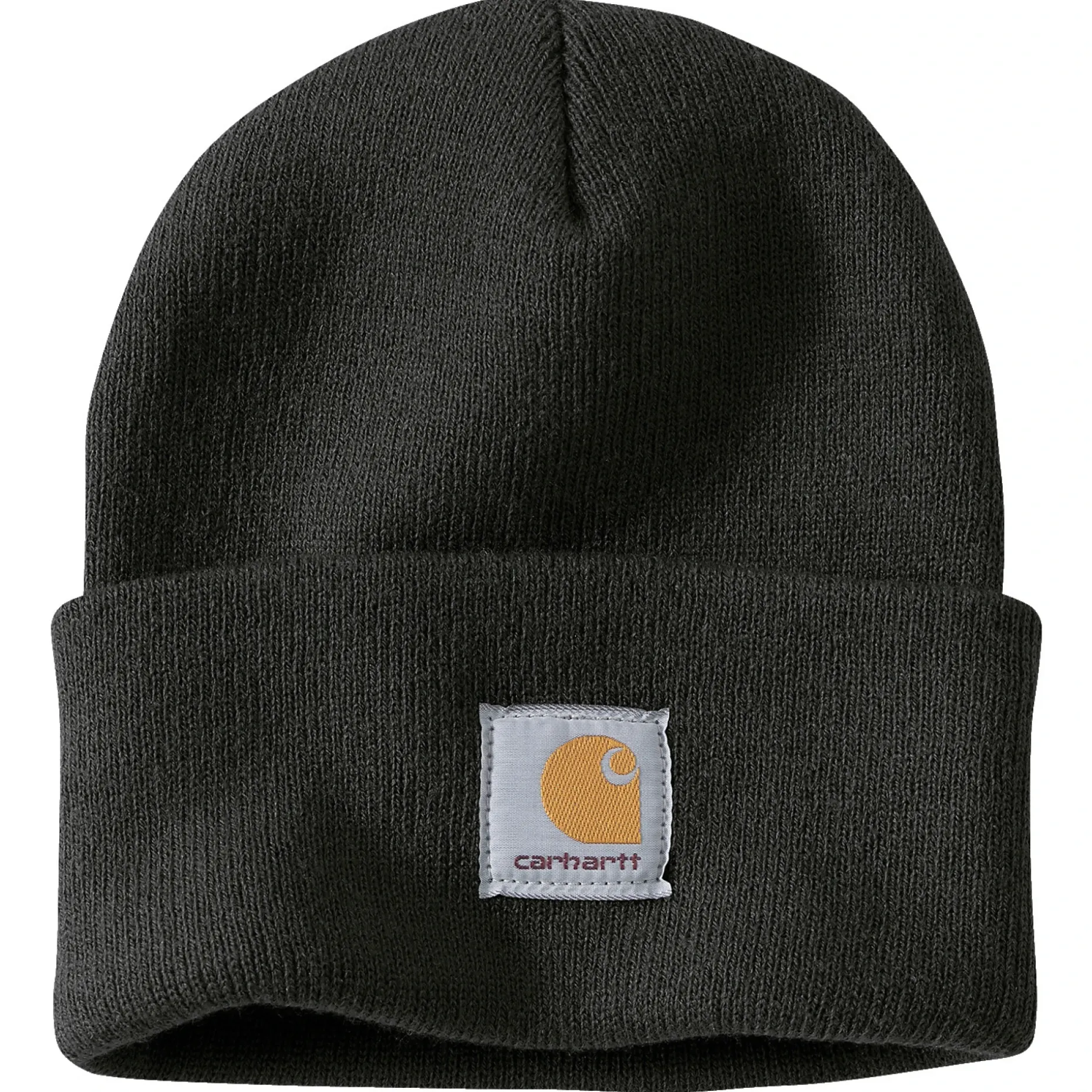 CARHARTT WATCH HAT/A18 HUE SORT OS