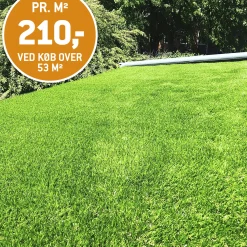 CITYLAWN KUNSTGRÆS 37 MM
