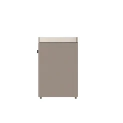 ELL PURY PURIFIER GOLDEN LUFTRENSER