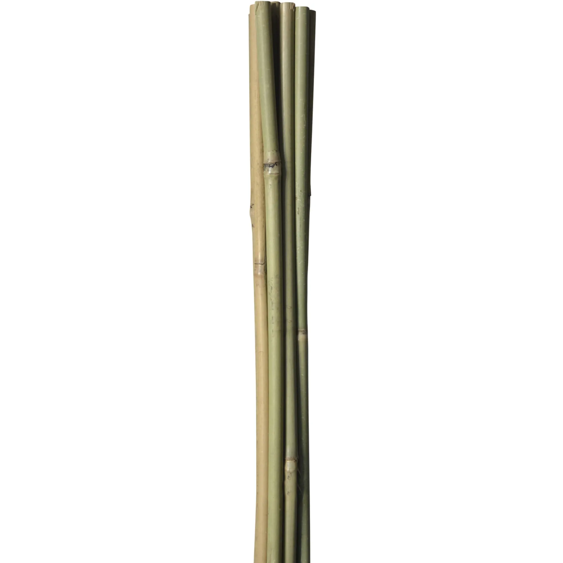 HOME it GARDEN BAMBUSPINDE 90 CM
