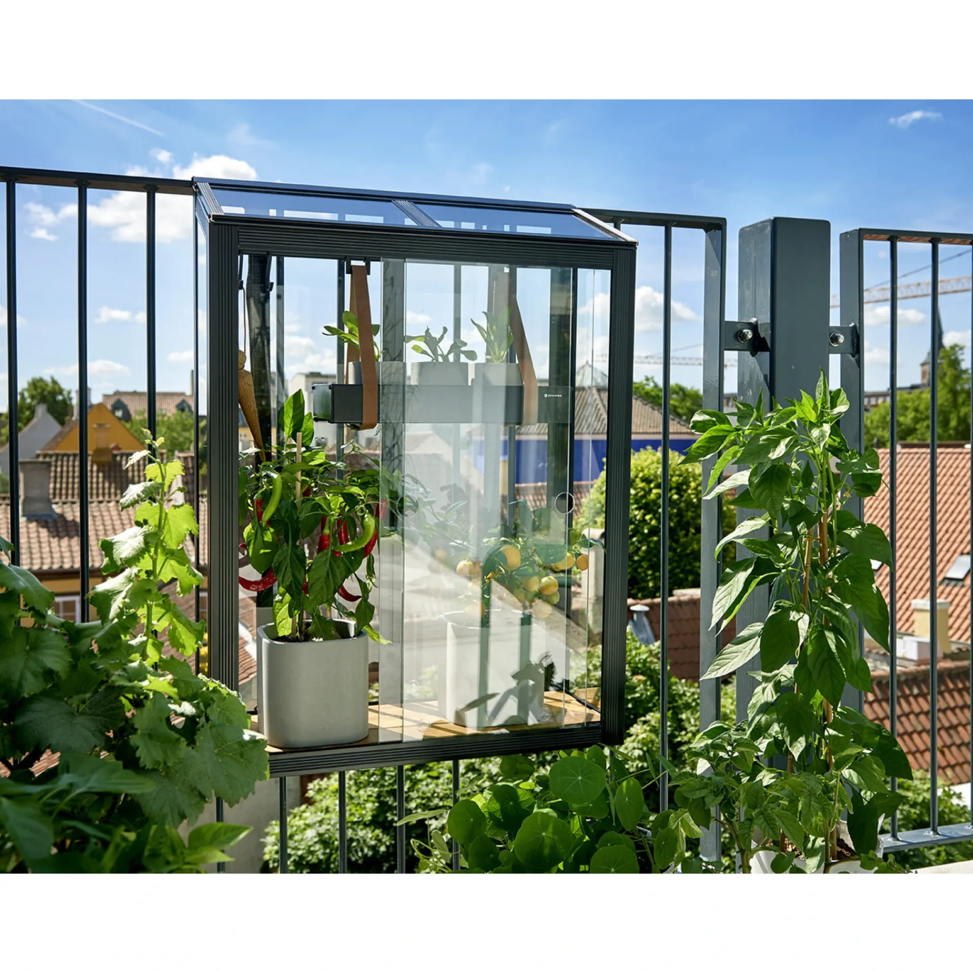Juliana URBAN BALCONY VÆGDRIVHUS 4 MM HÆRDET GLAS HELE BANER SORT 0,16 M²