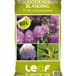 Leaf RHODODENDRONBLANDING 60 L