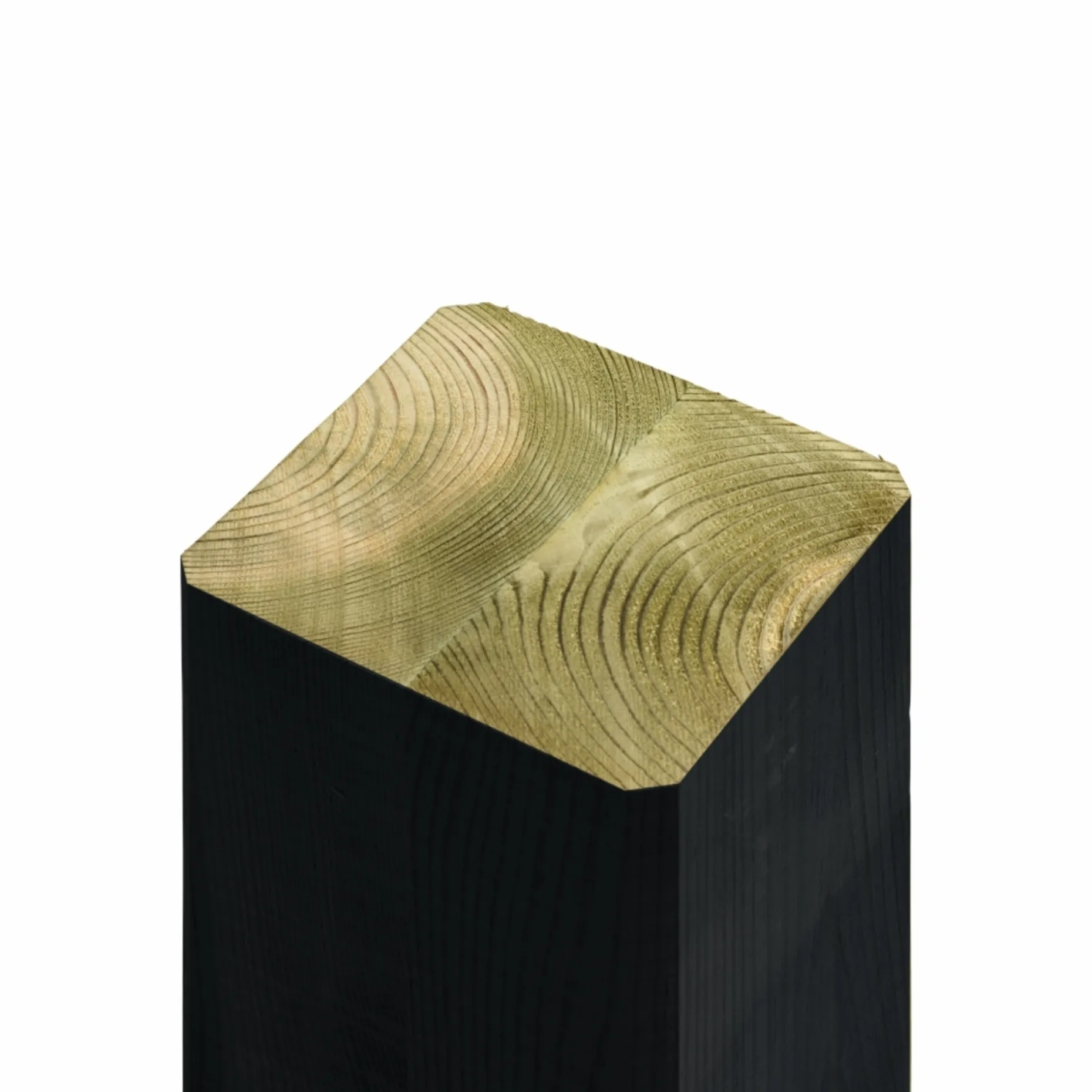 PLUS CUBIC GYNGESTATIV SORT