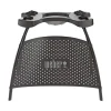 Weber Q 1000/2000 STANDER