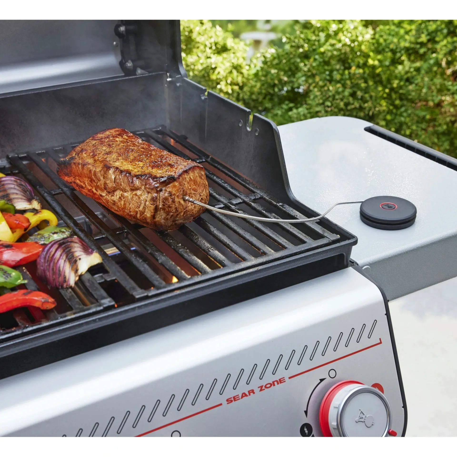 Weber SMART PROBE STEGETERMOMETER