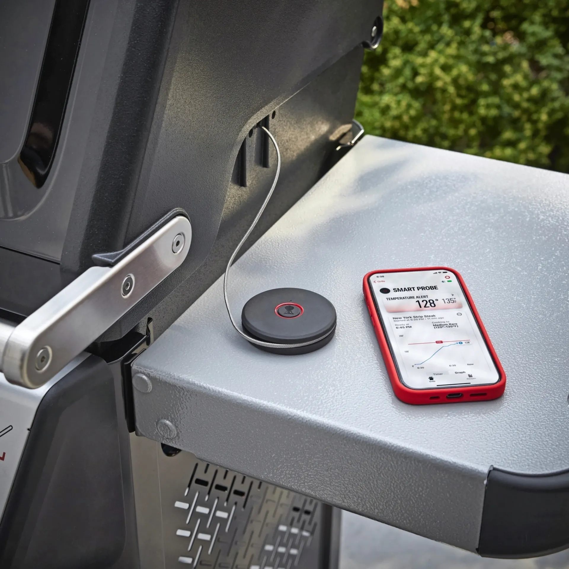 Weber SMART PROBE STEGETERMOMETER